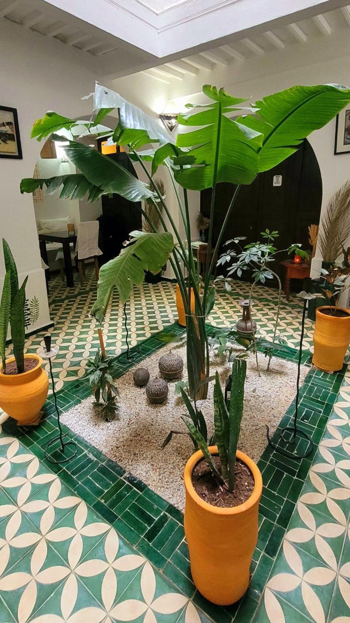 Riad Ocean Medina Essaouira Exterior foto